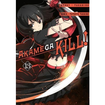 Akame ga kill! #13