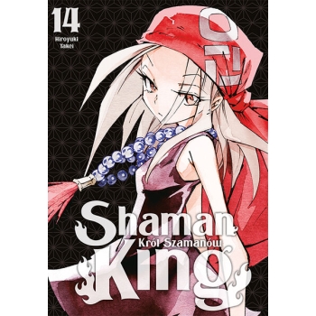 Shaman King #14